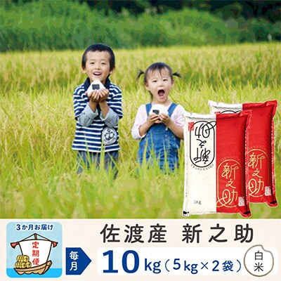 【毎月定期便】佐渡島産新之助 白米10Kg【令和5年産】全3回