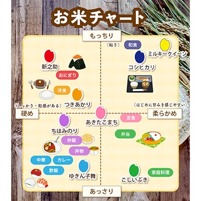 【毎月定期便】佐渡島産新之助 白米10kg【令和5年産】全6回