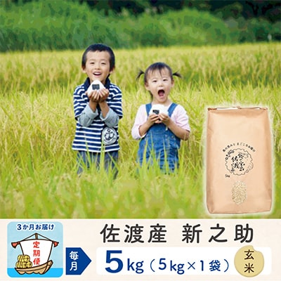 【毎月定期便】佐渡島産新之助 玄米5kg【令和5年産】全3回