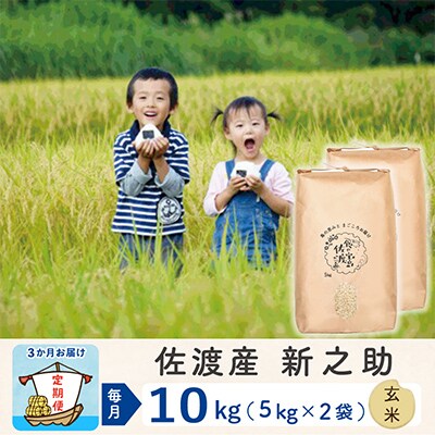 【毎月定期便】佐渡島産新之助 玄米10kg【令和5年産】全3回