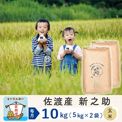 【毎月定期便】佐渡島産新之助 玄米10kg【令和5年産】全6回
