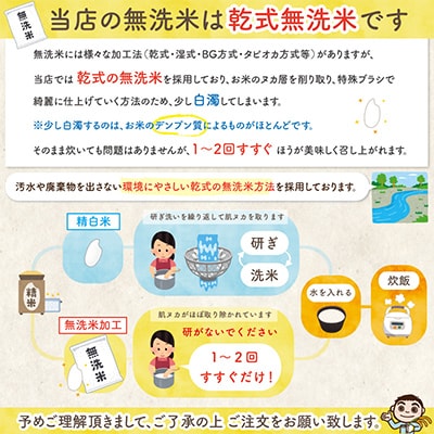 【毎月定期便】佐渡島産新之助 無洗米5kg【令和5年産】全6回