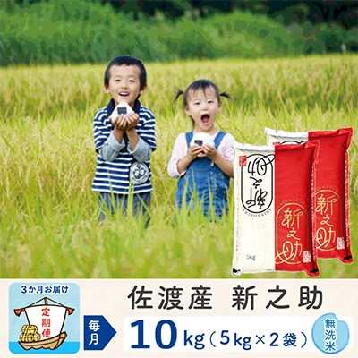 【毎月定期便】佐渡島産新之助 無洗米10kg【令和5年産】全3回