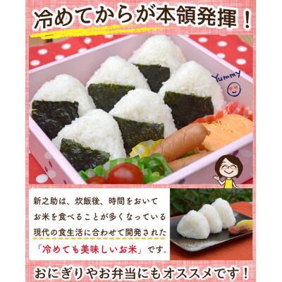 【毎月定期便】佐渡島産新之助 白米5kg全3回