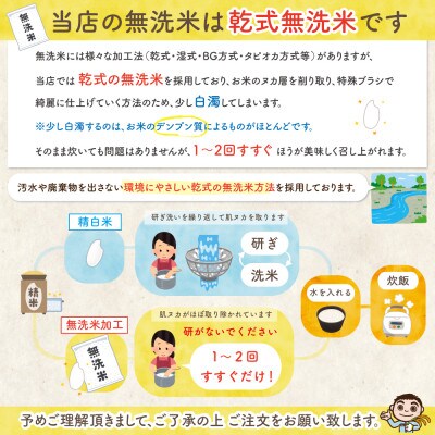 【毎月定期便】佐渡島産新之助 無洗米5kg全6回