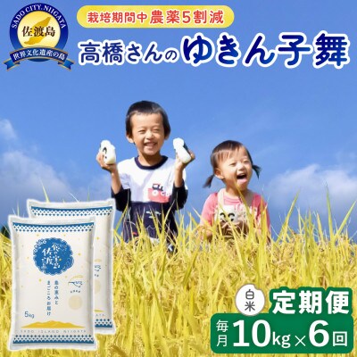 【毎月定期便】佐渡島産ゆきん子舞 白米10Kg(5Kg×2袋) 栽培期間中農薬5割減　全6回