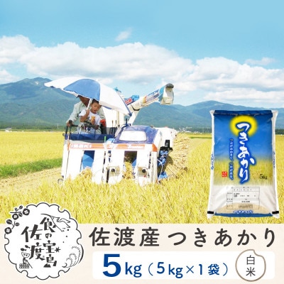 【毎月定期便】佐渡島産つきあかり 白米5Kg ～栽培期間中の農薬5割減～全6回