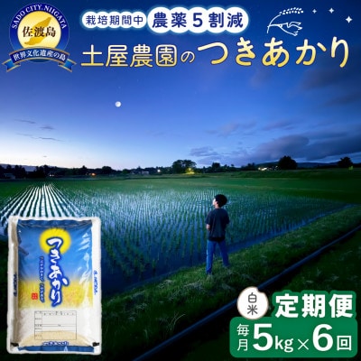 【毎月定期便】佐渡島産つきあかり 白米5kg 土屋農園 農家直送 栽培期間中農薬5割減　全6回