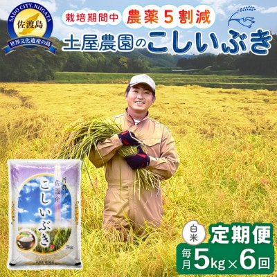 【毎月定期便】佐渡島産こしいぶき 白米5Kg 土屋農園 農家直送 栽培期間中農薬5割減 全6回