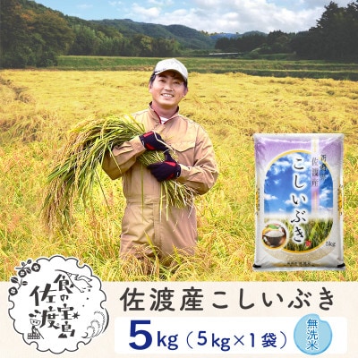 【毎月定期便】佐渡島産こしいぶき 無洗米5Kg ～栽培期間中の農薬5割減～全6回
