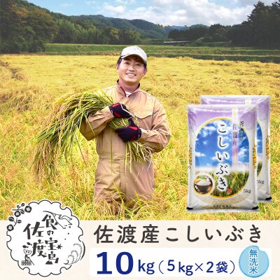 【毎月定期便】佐渡島産こしいぶき 無洗米10Kg ～栽培期間中の農薬5割減～全6回