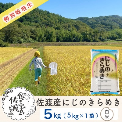 毎月定期便】佐渡島産にじのきらめき 白米5Kg 特別栽培米 農家