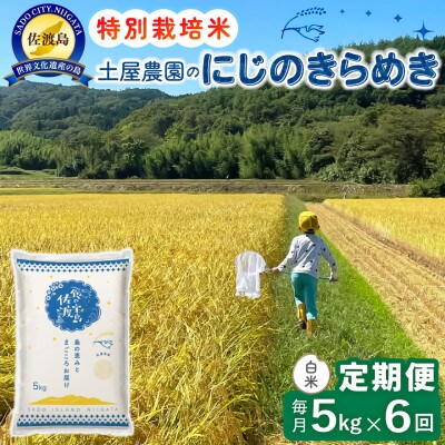 【毎月定期便】佐渡島産にじのきらめき 白米5kg 土屋農園 農家直送 特別栽培米　全6回