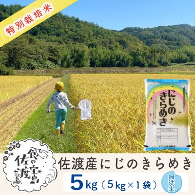 【毎月定期便】佐渡島産にじのきらめき 無洗米5Kg 特別栽培米 農家直送　全9回