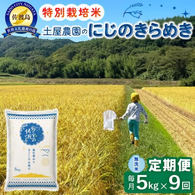 【毎月定期便】佐渡島産にじのきらめき 無洗米5Kg 土屋農園 農家直送 特別栽培米　全9回