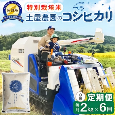 【毎月定期便】佐渡島産コシヒカリ 白米2kg 土屋農園 農家直送 特別栽培米 　全6回