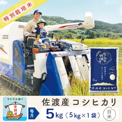 【毎月定期便】佐渡島産コシヒカリ 白米5Kg 特別栽培米 農家直送　全9回