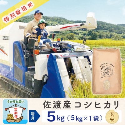 【毎月定期便】佐渡島産コシヒカリ 玄米5Kg 特別栽培米 農家直送　全9回