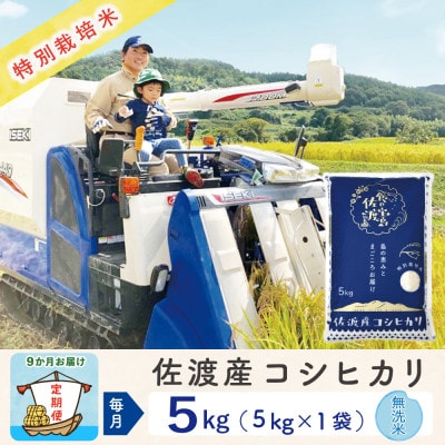 【毎月定期便】佐渡島産コシヒカリ 無洗米5Kg 特別栽培米 農家直送　全9回