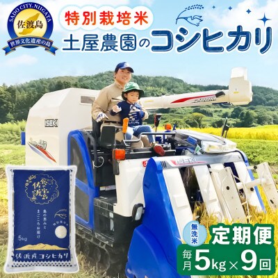 【毎月定期便】佐渡島産コシヒカリ 無洗米5kg 土屋農園 農家直送 特別栽培米　全9回