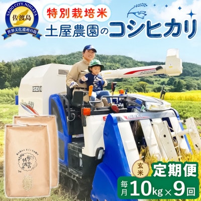 【毎月定期便】佐渡島産コシヒカリ 玄米10kg 土屋農園 農家直送 特別栽培米　全9回