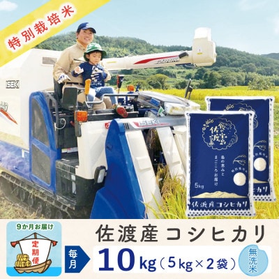 【毎月定期便】佐渡島産コシヒカリ 無洗米10Kg(5Kg×2袋) 特別栽培米 農家直送全9回