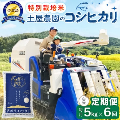 【毎月定期便】佐渡島産コシヒカリ 白米5kg 土屋農園 農家直送 特別栽培米 　全6回
