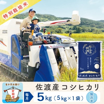 【毎月定期便】佐渡島産コシヒカリ 無洗米5Kg 特別栽培米 農家直送　全6回