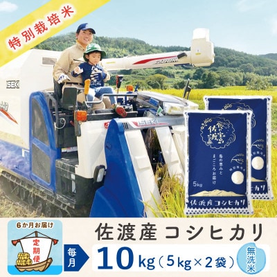 【毎月定期便】佐渡島産コシヒカリ 無洗米10Kg(5Kg×2袋) 特別栽培米 農家直送　全6回