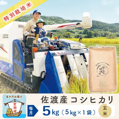 【毎月定期便】佐渡島産コシヒカリ 玄米5Kg 特別栽培米 農家直送　全6回