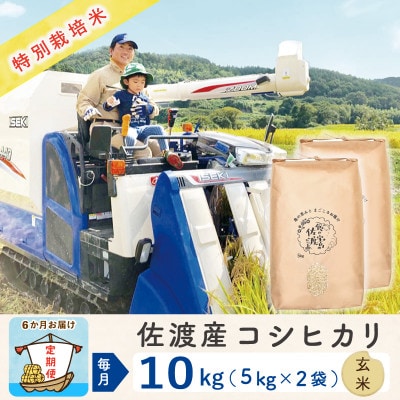 【毎月定期便】佐渡島産コシヒカリ 玄米10Kg(5Kg×2袋) 特別栽培米 農家直送　全6回
