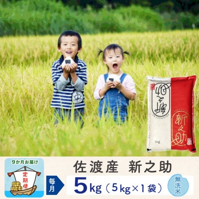 【毎月定期便】佐渡島産新之助 無洗米5Kg全9回