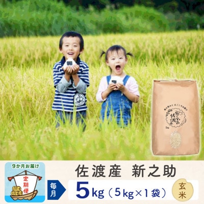 【毎月定期便】佐渡島産新之助 玄米5Kg全9回