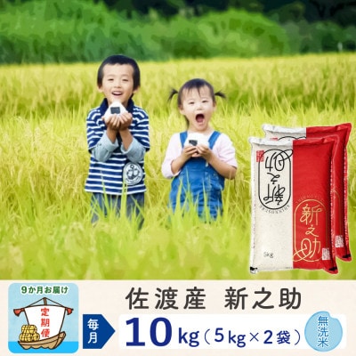 【毎月定期便】佐渡島産新之助 無洗米10kg　全9回