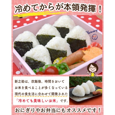 【毎月定期便】佐渡島産新之助 無洗米10kg　全9回