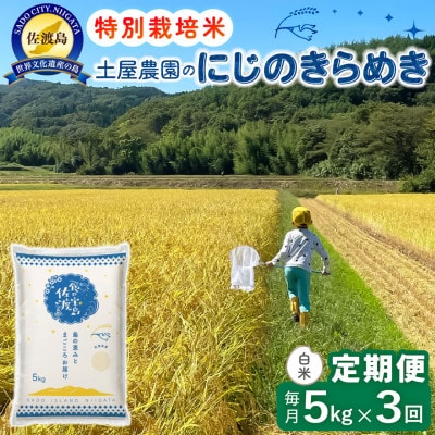 【毎月定期便】佐渡島産にじのきらめき 白米5kg 土屋農園 農家直送 特別栽培米　全3回