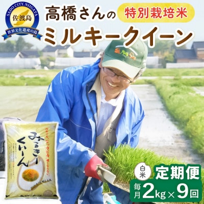 【毎月定期便】佐渡島産ミルキークイーン 白米2kg 特別栽培米　全9回