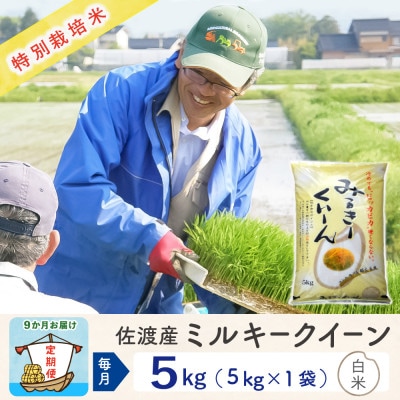 【毎月定期便】佐渡島産ミルキークイーン 白米5kg 特別栽培米全9回