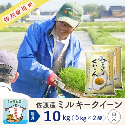 【毎月定期便】佐渡島産ミルキークイーン 白米10kg 特別栽培米全9回
