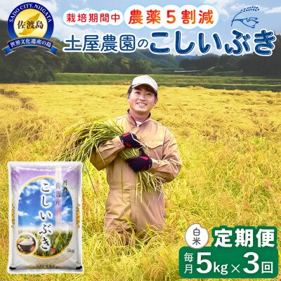 【毎月定期便】佐渡島産こしいぶき 白米5Kg 土屋農園 農家直送 栽培期間中農薬5割減 全3回