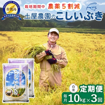 【毎月定期便】佐渡島産こしいぶき 白米10Kg 土屋農園 農家直送 栽培期間中農薬5割減 全3回