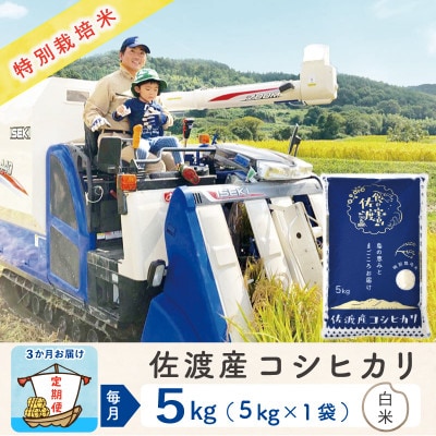 【毎月定期便】佐渡島産コシヒカリ 白米5Kg 特別栽培米 農家直送全3回
