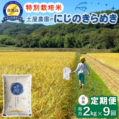 【毎月定期便】佐渡島産にじのきらめき 白米2kg 土屋農園 農家直送 特別栽培米　全9回