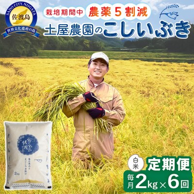 【毎月定期便】佐渡島産こしいぶき 白米2Kg 土屋農園 農家直送 栽培期間中農薬5割減 6回
