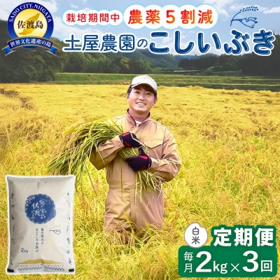 【毎月定期便】佐渡島産こしいぶき 白米2Kg 土屋農園 農家直送 栽培期間中農薬5割減 全3回