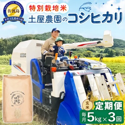 【毎月定期便】佐渡島産コシヒカリ 玄米5kg 土屋農園 農家直送 特別栽培米　全3回