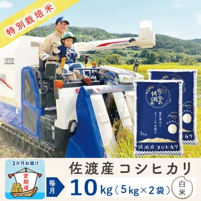【毎月定期便】佐渡島産コシヒカリ 白米10Kg(5Kg×2袋) 特別栽培米 農家直送全3回