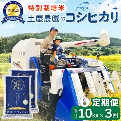 【毎月定期便】佐渡島産コシヒカリ 白米10kg 土屋農園 農家直送 特別栽培米 　全3回