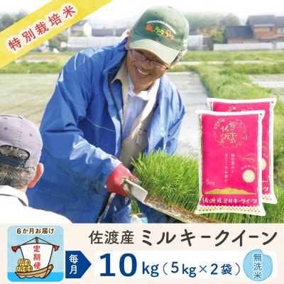 【毎月定期便】佐渡島産ミルキークイーン 無洗米10kg(5Kg×2袋) 特別栽培米全6回
