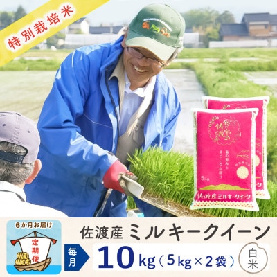 【毎月定期便】佐渡島産ミルキークイーン 精米10kg(5Kg×2袋) 特別栽培米　全6回